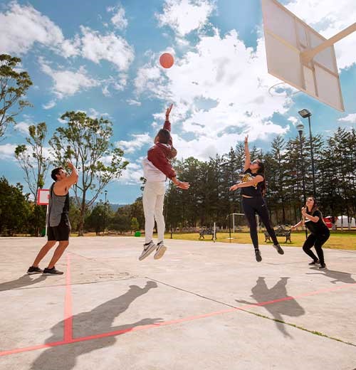 Huasca Sierra Verde - Basketbol