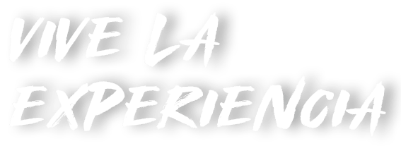 Vive la experiencia