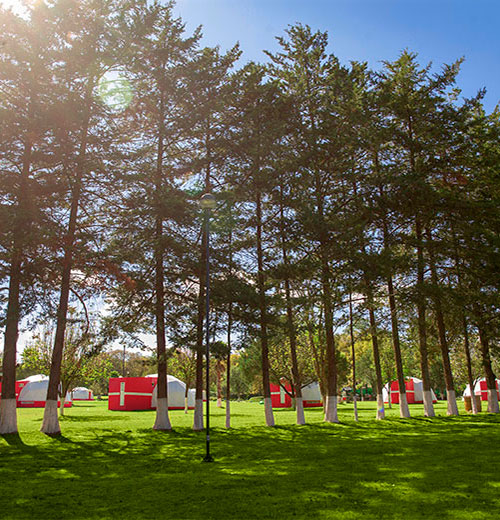 Huasca Sierra Verde - Glamping