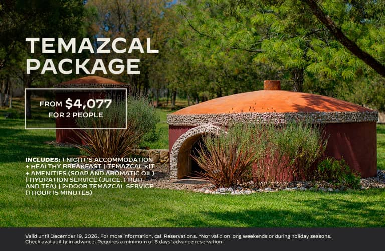 Temazcal Package